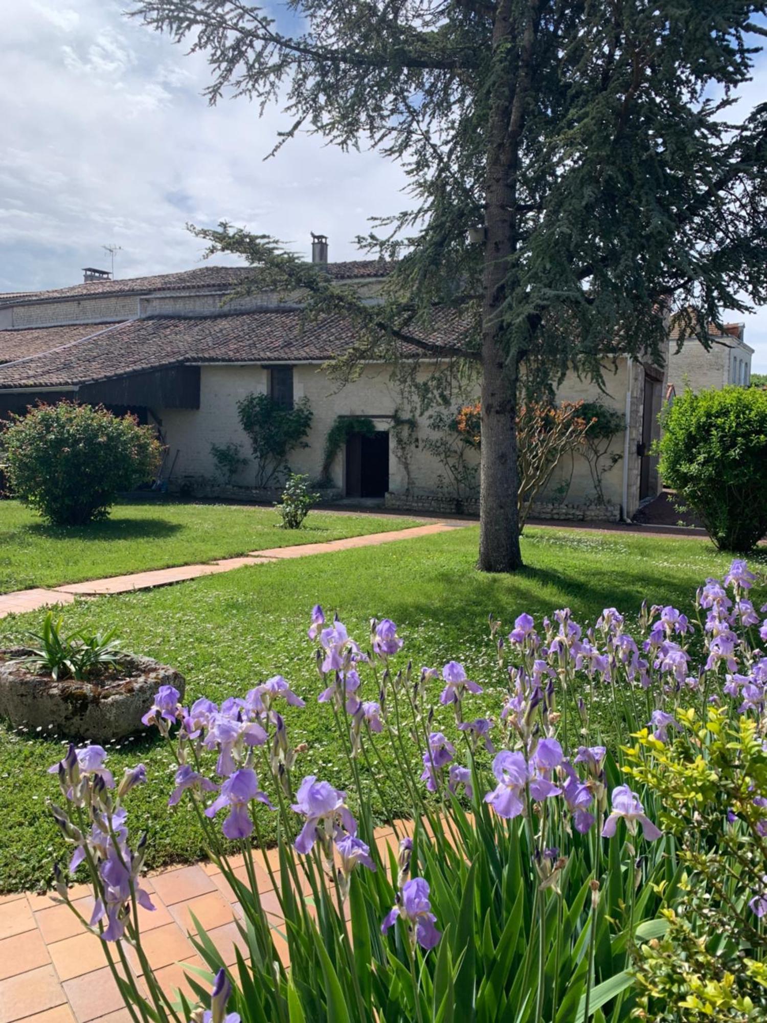 The Cool Lounge A Coulonges - Charente Bed & Breakfast Exterior photo